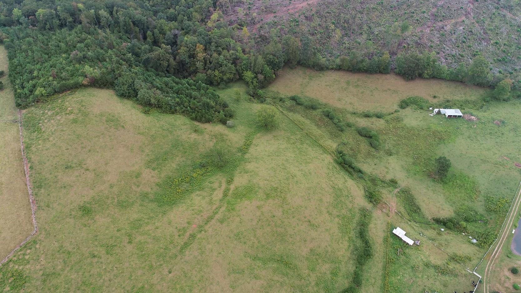 5560 Elamsville Road Stuart, VA 24171 - Photo 42 of 80 DJI_0001