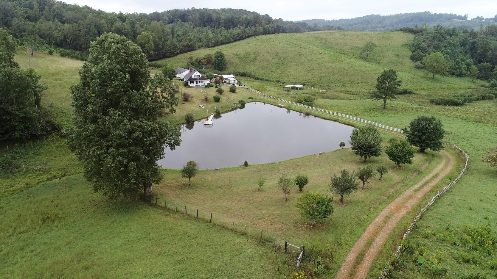 5560 Elamsville Road Stuart, VA 24171 - Photo 46 of 80 a view of a lush green forest with a lake view