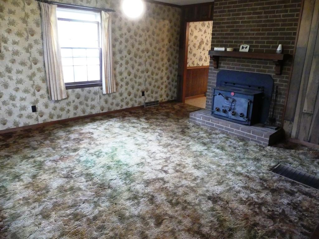 5560 Elamsville Road Stuart, VA 24171 - Photo 6 of 80 LIVING