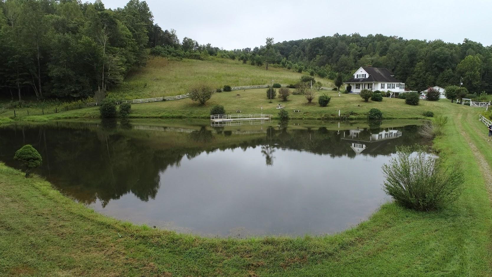 5560 Elamsville Road Stuart, VA 24171 - Photo 51 of 80 a view of a lake with a yard and large trees