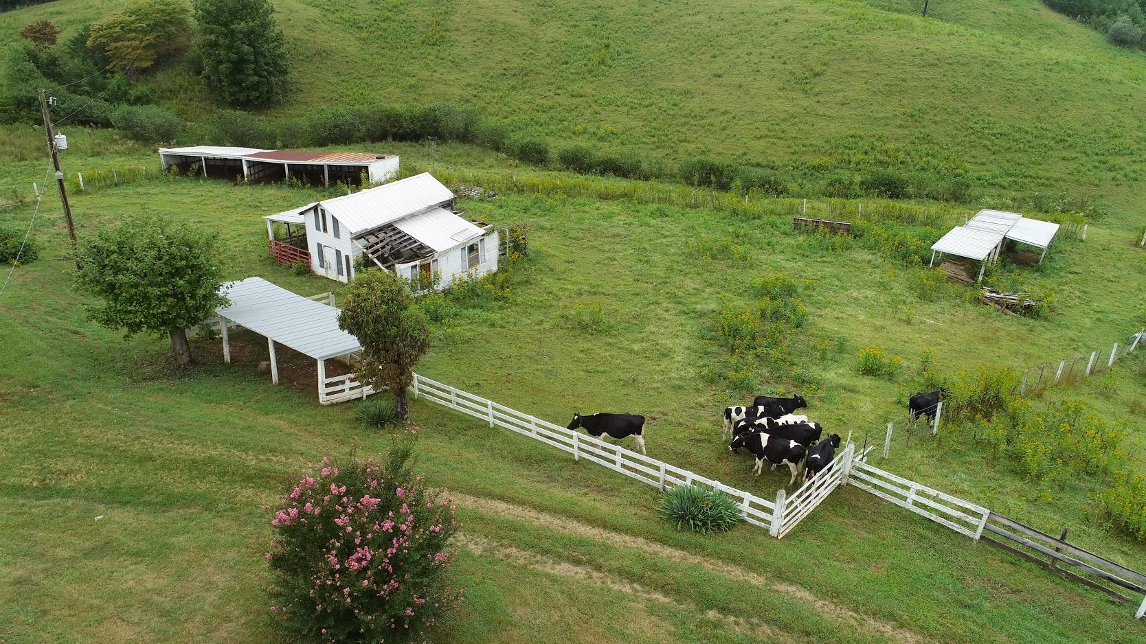 5560 Elamsville Road Stuart, VA 24171 - Photo 63 of 80 DJI_0042