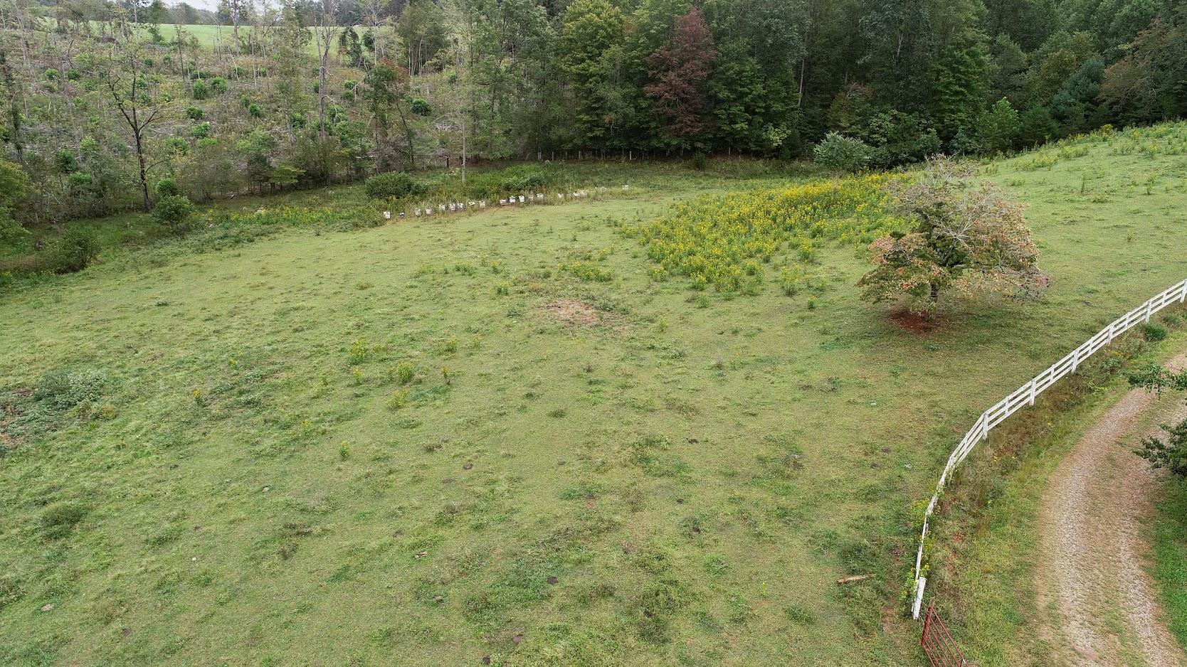 5560 Elamsville Road Stuart, VA 24171 - Photo 74 of 80 a view of a small yard