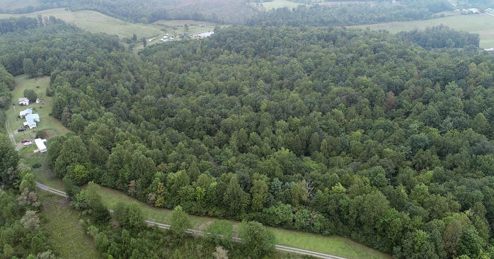 5560 Elamsville Road Stuart, VA 24171 - Photo 77 of 80 a view of a field of grass and trees