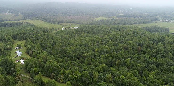 5560 Elamsville Road Stuart, VA 24171 - Photo 78 of 80 DJI_0992