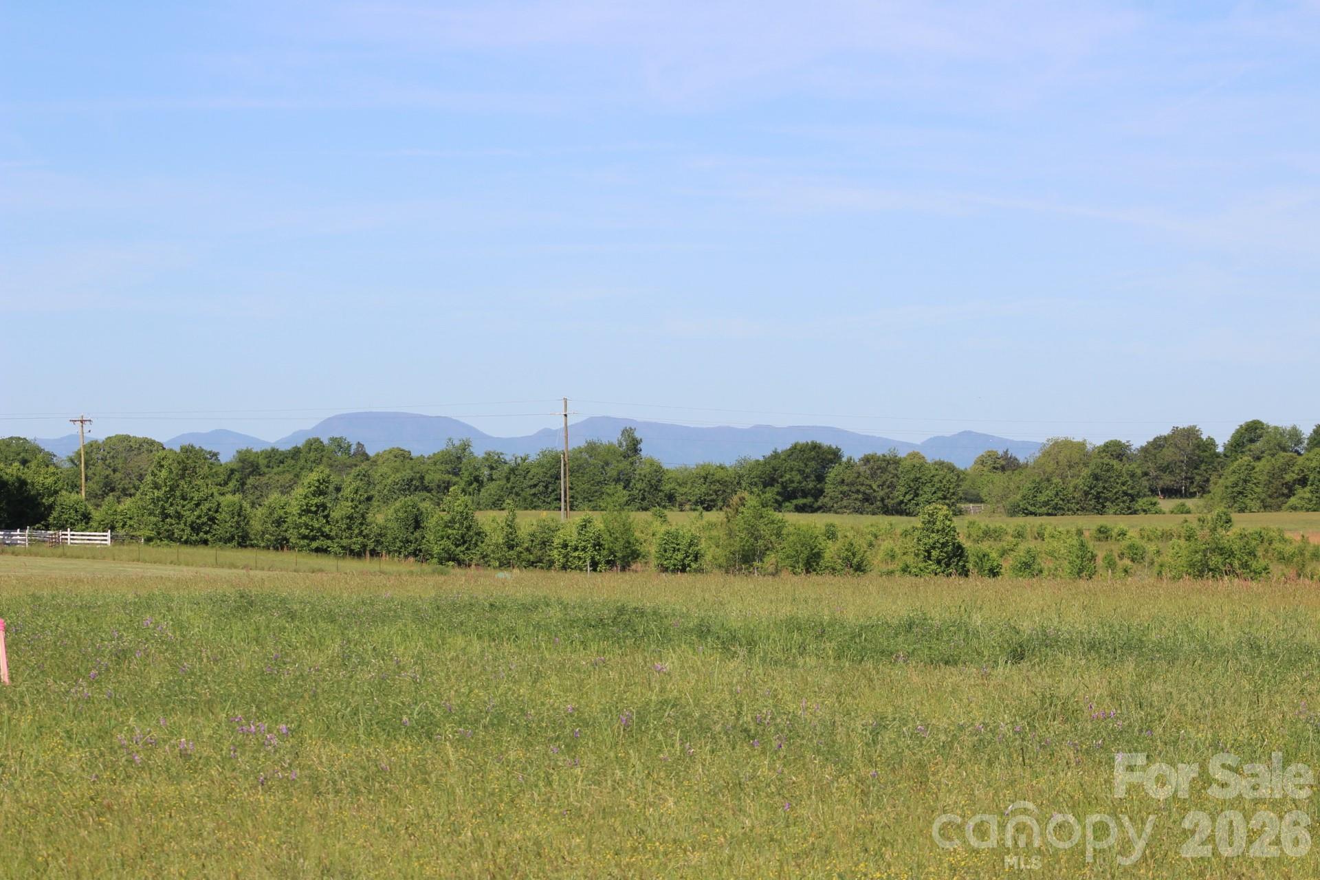 Lot 5 Ted Smith Road, Unit 5 Rutherfordton, NC 28139 - Photo 15 of 30