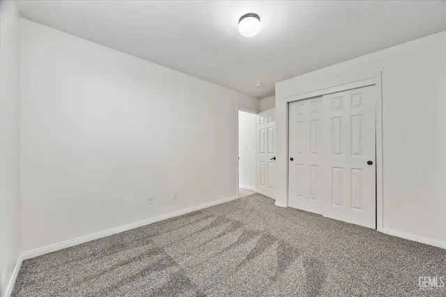 a view of backyard with palm trees