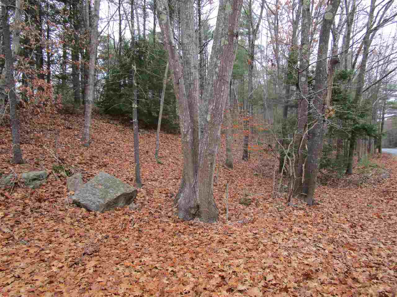 54 Greenleaf Parsons Road York, ME 03902 - Photo 2 of 12