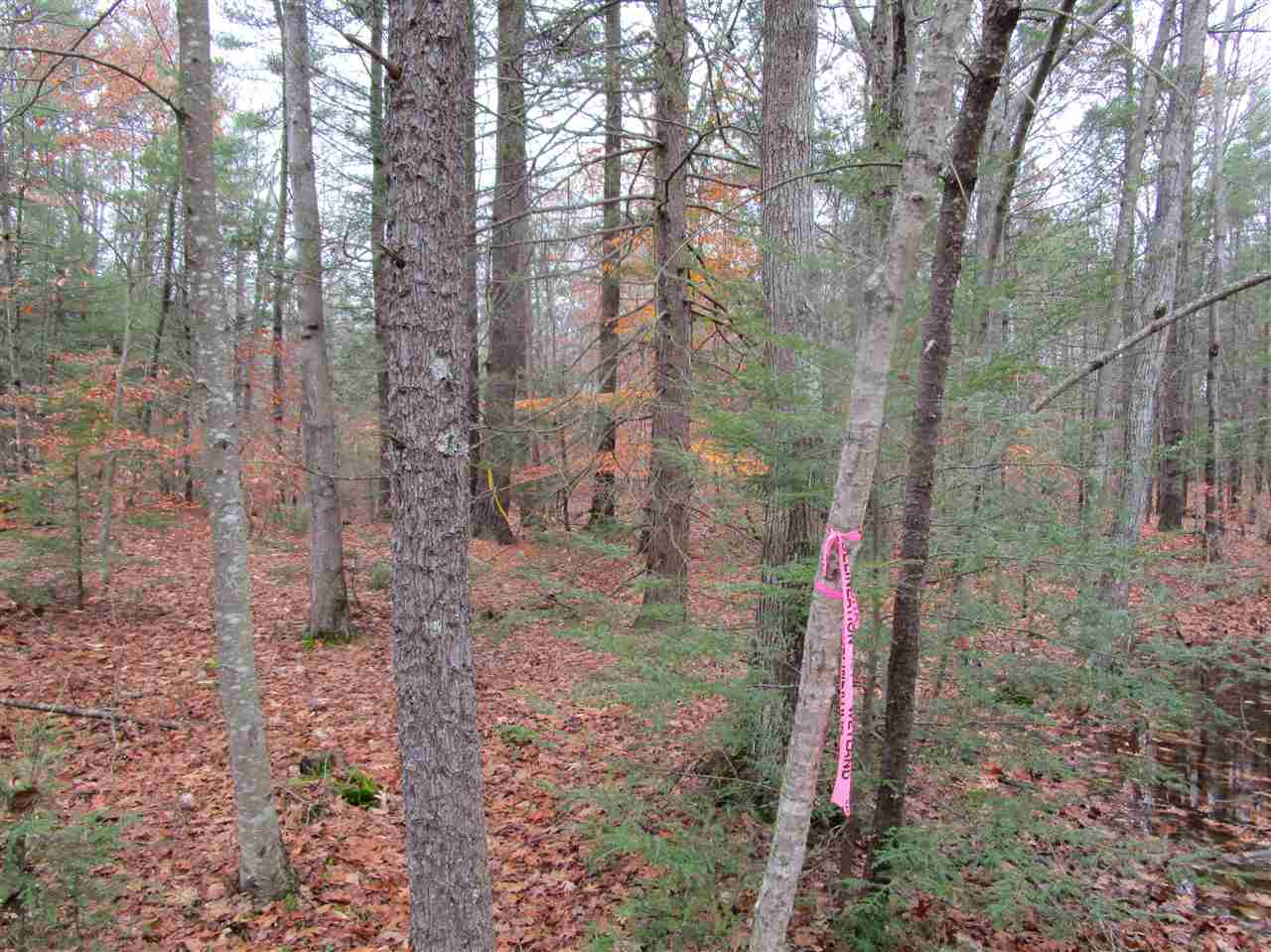 54 Greenleaf Parsons Road York, ME 03902 - Photo 6 of 12