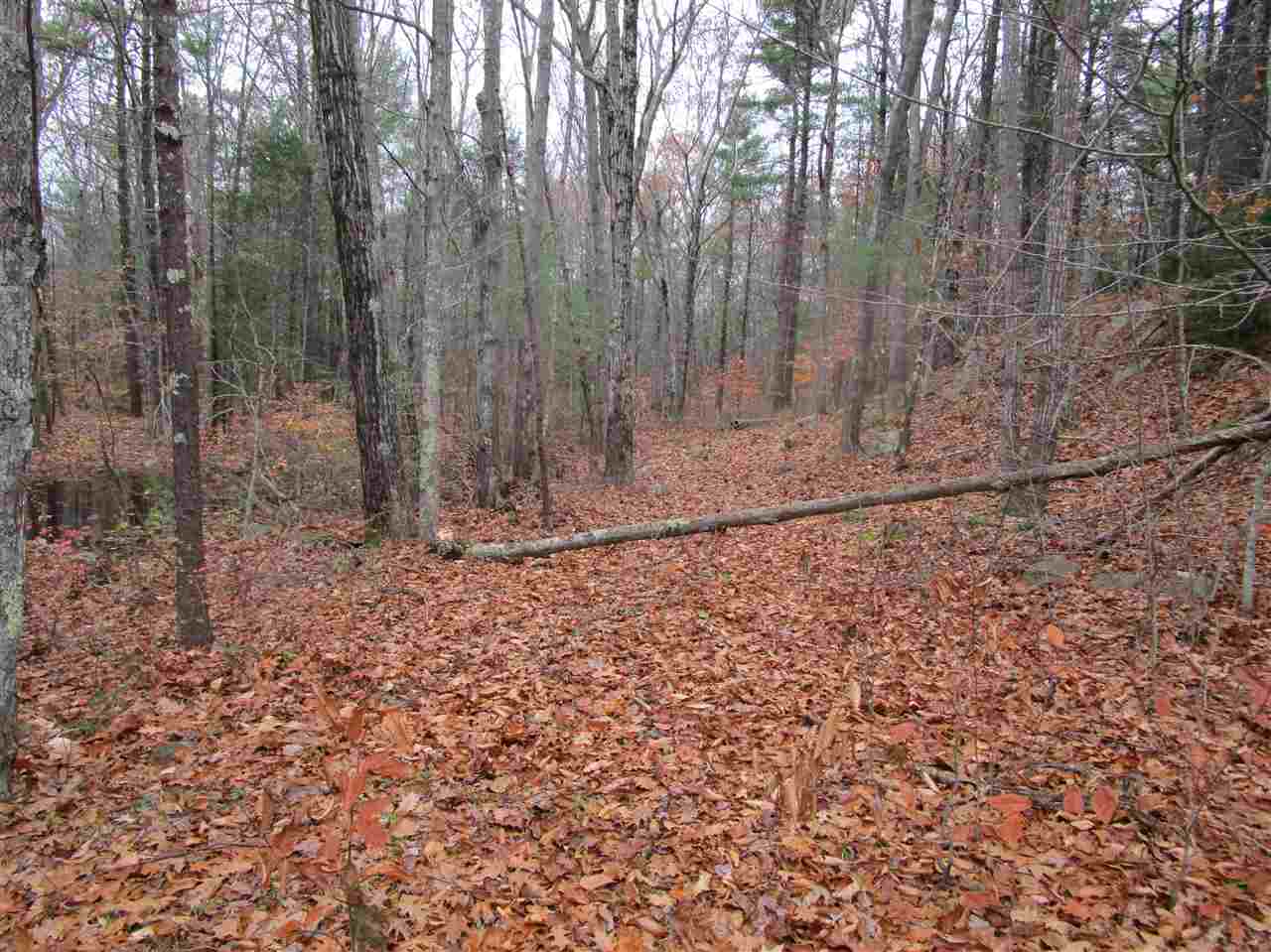 54 Greenleaf Parsons Road York, ME 03902 - Photo 7 of 12