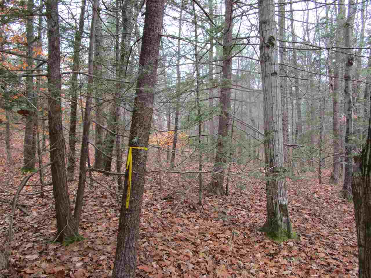 54 Greenleaf Parsons Road York, ME 03902 - Photo 10 of 12