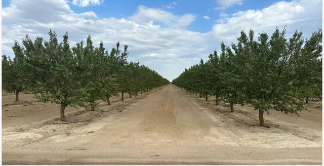 $8,646,750 | 4783 Manning Avenue, Fresno, CA 93706