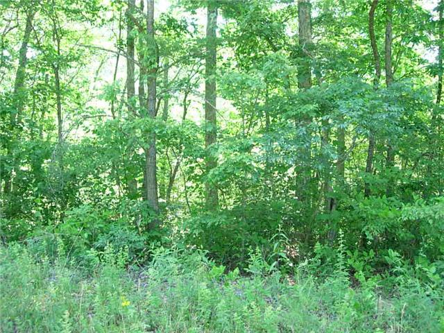 4 Bud Pattie Road Monteagle, TN 37356 - Photo 1 of 8 Gallery Image 1