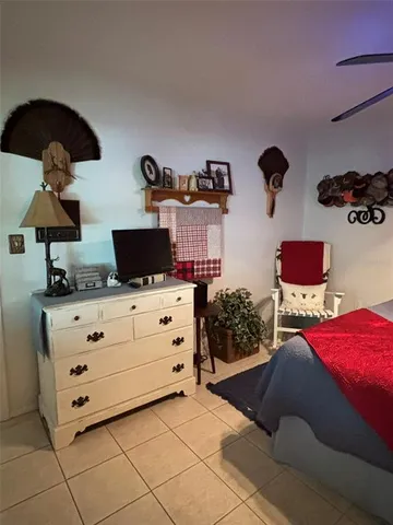 a picture of a tree with a plant