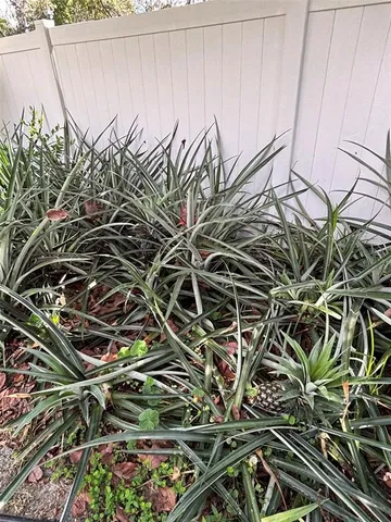 $429,900 | 2309 Woodbend Circle, New Port Richey, FL 34655