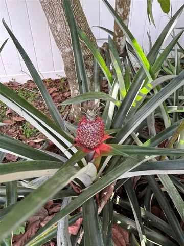 $429,900 | 2309 Woodbend Circle, New Port Richey, FL 34655