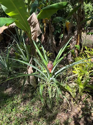 $429,900 | 2309 Woodbend Circle, New Port Richey, FL 34655