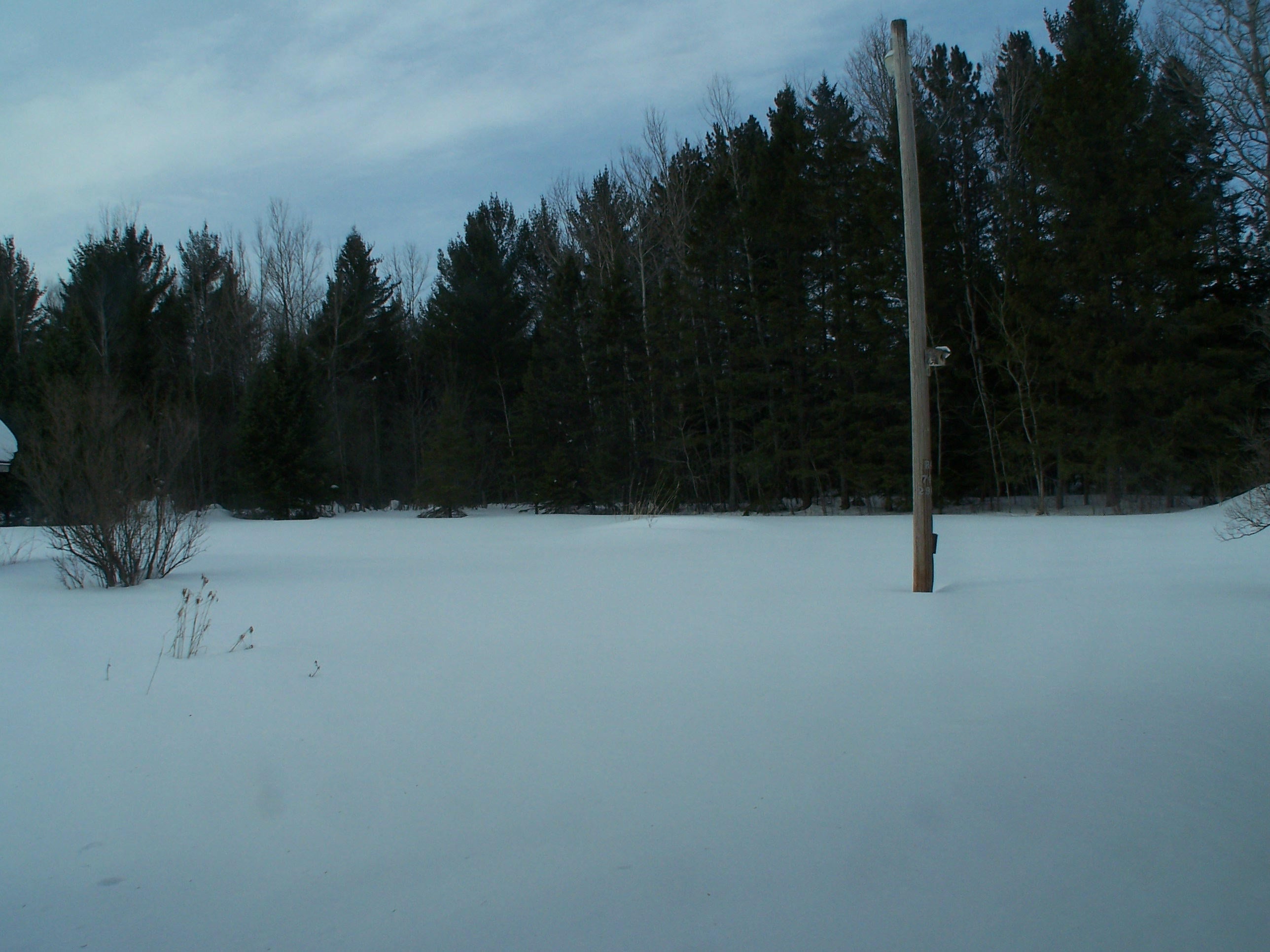 7338 South Forrest Side Road Brimley, MI 49715 - Photo 16 of 16 Gallery Image 16