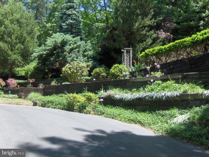 10704 Hunters Valley Road Vienna, VA 22181 - Photo 2 of 26 Drive up to your private park