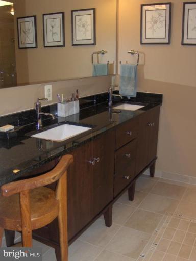 10704 Hunters Valley Road Vienna, VA 22181 - Photo 12 of 26 Furniture grade dual sinks