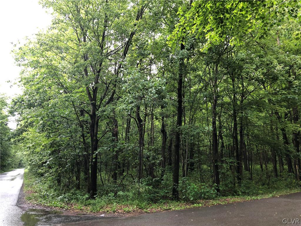 413 Cold Spring Drive Jim Thorpe, PA 18229 - Photo 1 of 14 Lovable Corner Lot!