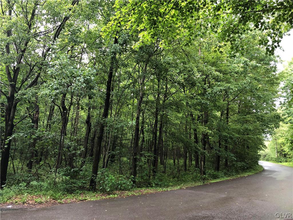 413 Cold Spring Drive Jim Thorpe, PA 18229 - Photo 2 of 14 Paved Street!