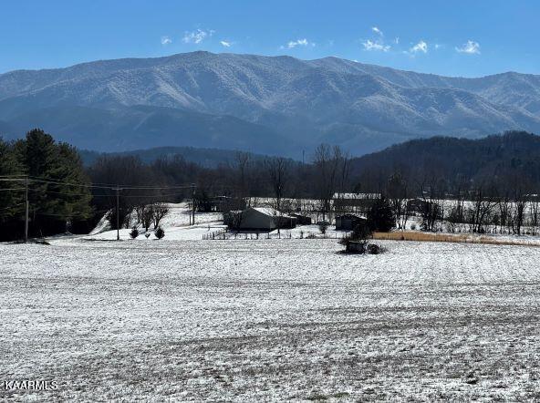 Gorgeous View of Mt Cammerer