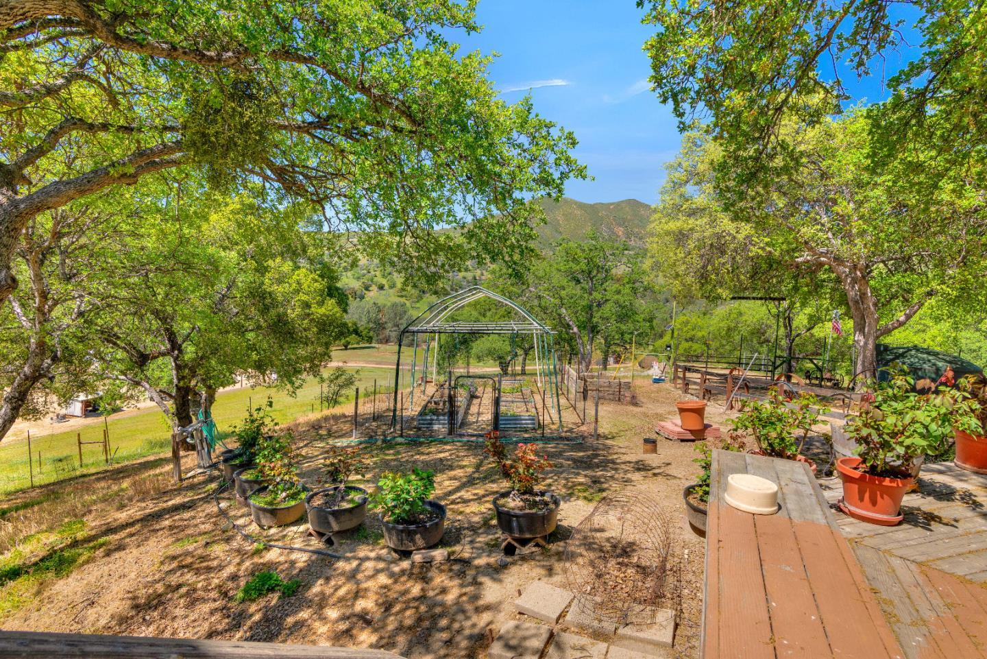 38483 Milpitas Road Greenfield, CA 93927 - Photo 47 of 55 a view of a yard with plants and trees