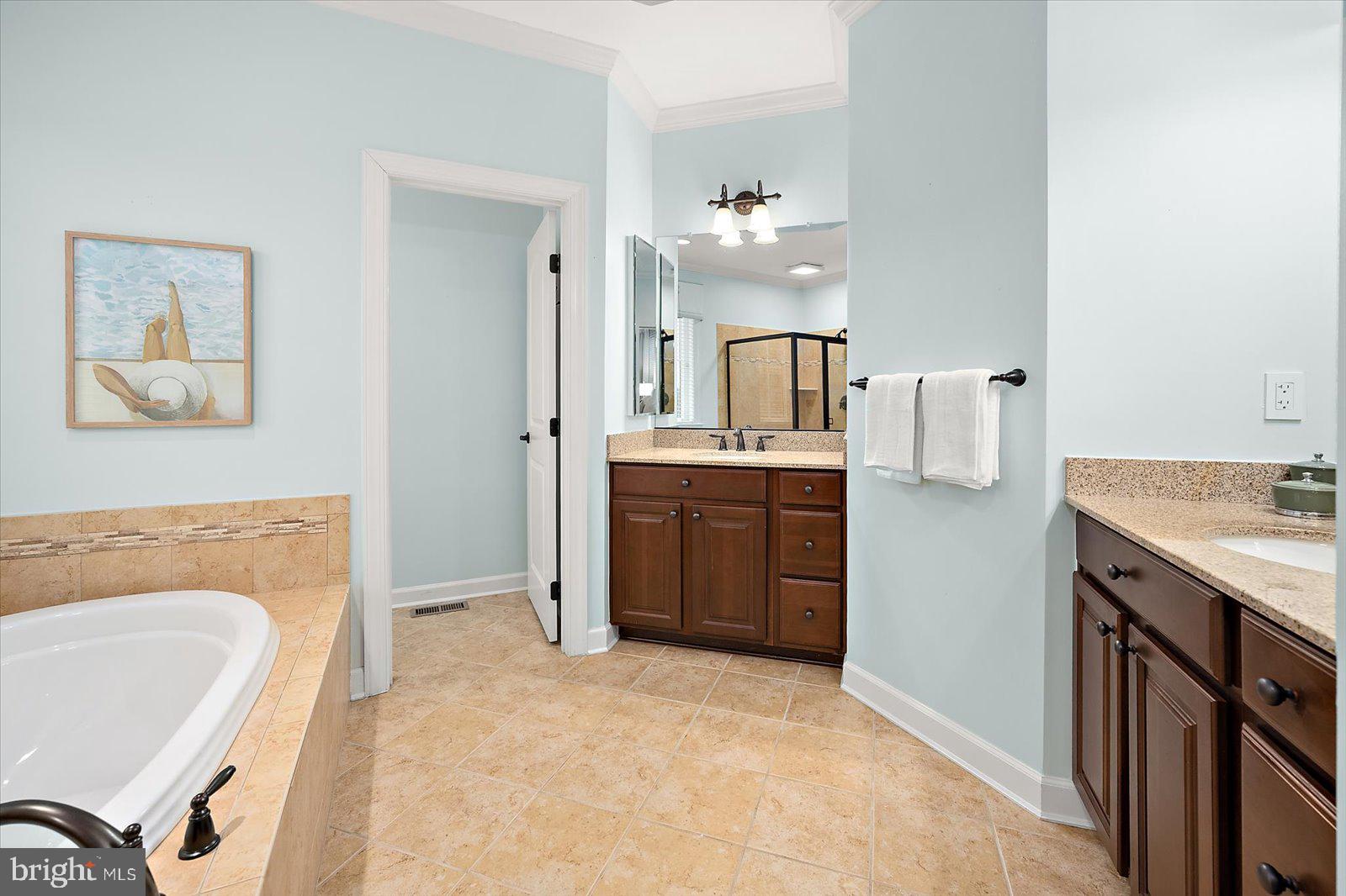 38896 Blue Indigo Road Selbyville, DE 19975 - Photo 42 of 86 a spacious bathroom with a tub sink and mirror