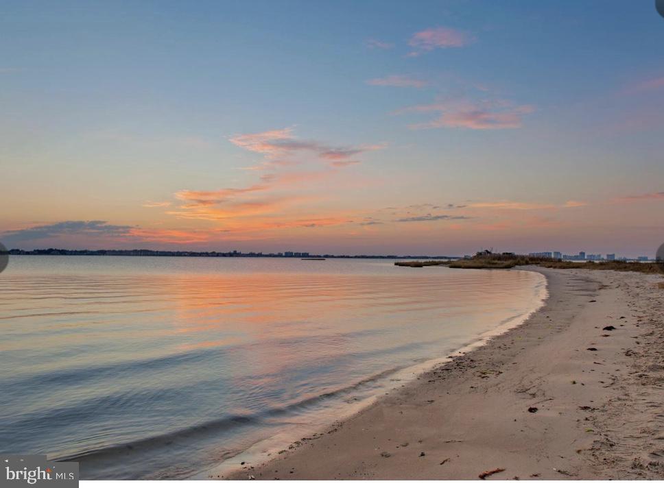 38896 Blue Indigo Road Selbyville, DE 19975 - Photo 86 of 86