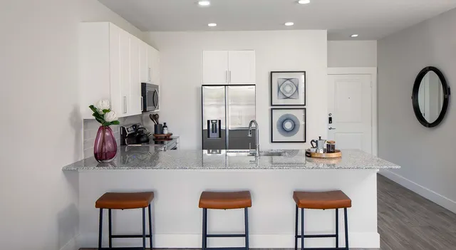 $2,513 | 2425 Bell Street, Unit 2326, Houston, TX 77003