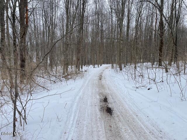 62 Tybush Lane Brunswick, NY 12180 - Photo 38 of 74 ATV/snowmobile trails