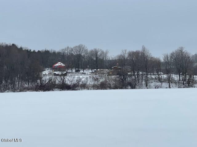 62 Tybush Lane Brunswick, NY 12180 - Photo 49 of 74 View