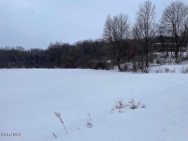 62 Tybush Lane Brunswick, NY 12180 - Photo 53 of 74 View