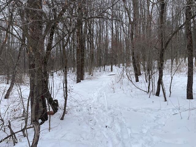 62 Tybush Lane Brunswick, NY 12180 - Photo 56 of 74 Deer tracks