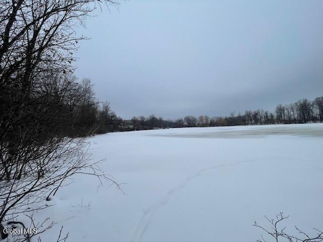 62 Tybush Lane Brunswick, NY 12180 - Photo 60 of 74 forzen pond