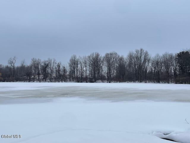 62 Tybush Lane Brunswick, NY 12180 - Photo 61 of 74 Frozen pond