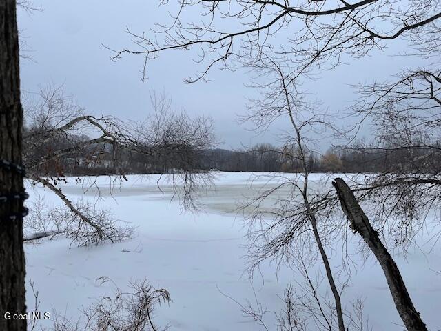 62 Tybush Lane Brunswick, NY 12180 - Photo 63 of 74 Frozen pond