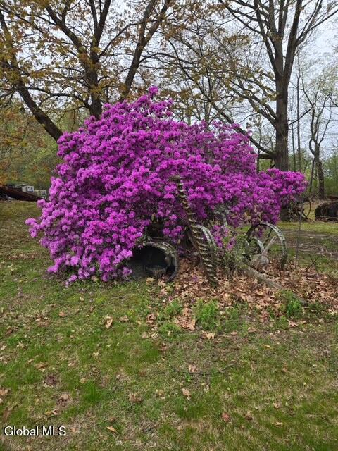 62 Tybush Lane Brunswick, NY 12180 - Photo 69 of 74 Flowering bus