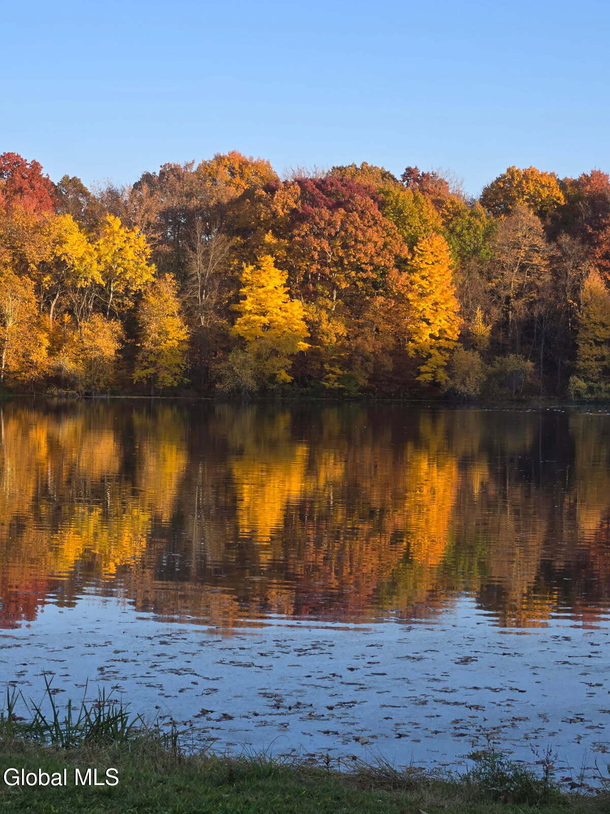 62 Tybush Lane Brunswick, NY 12180 - Photo 7 of 74 Trees in the fall pond