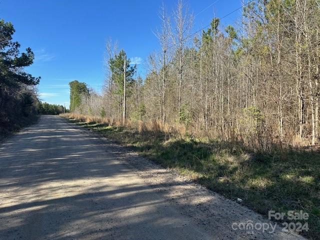 Tbd Tbd Center Grove Road Kershaw, SC 29067 - Photo 2 of 9