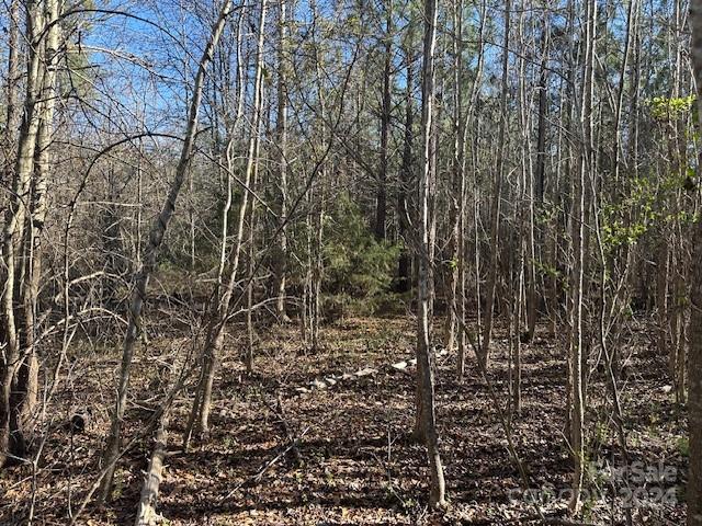 Tbd Tbd Center Grove Road Kershaw, SC 29067 - Photo 5 of 9