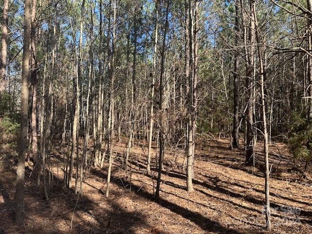 Tbd Tbd Center Grove Road Kershaw, SC 29067 - Photo 7 of 9