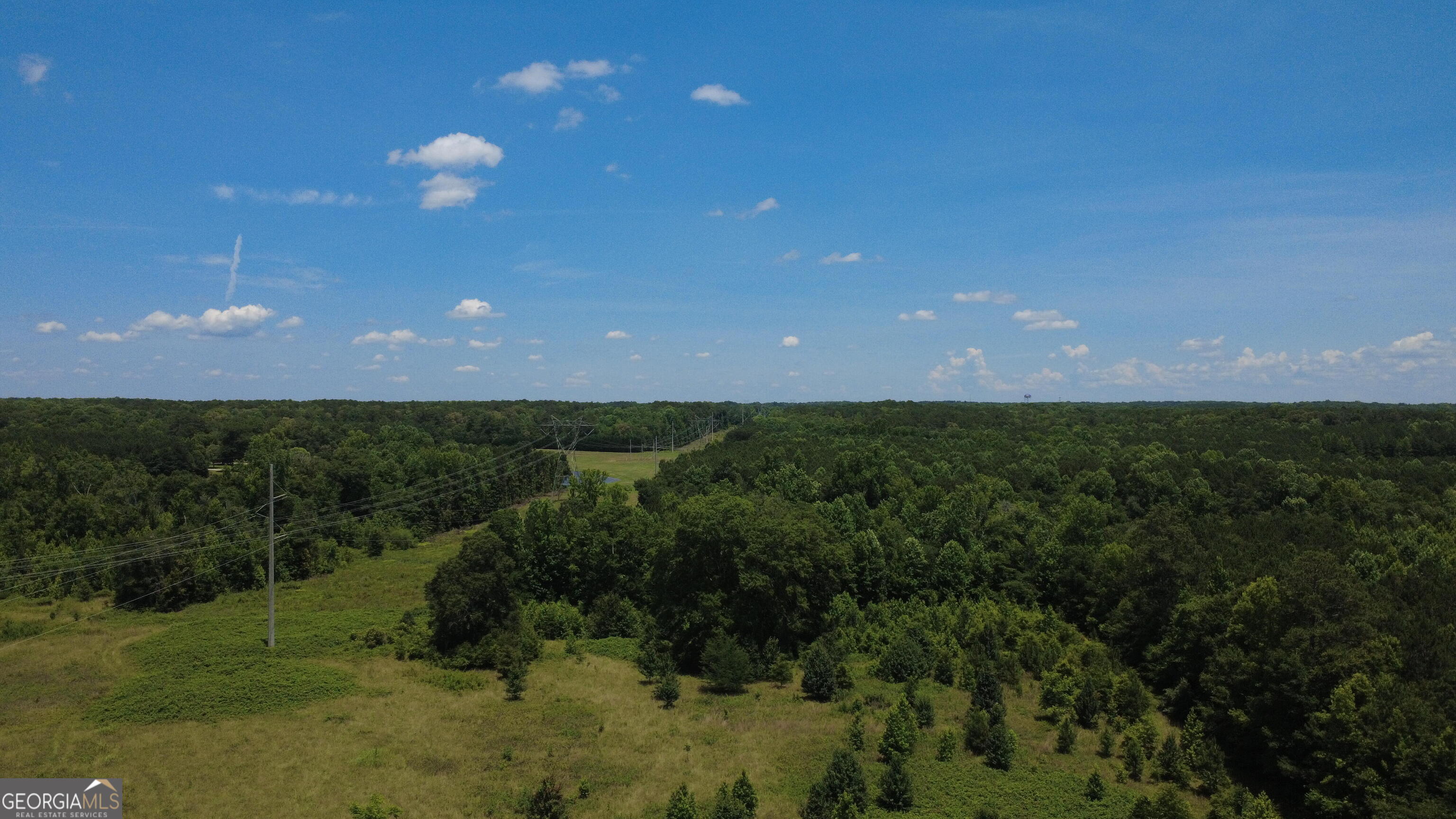 676 Linch Road Senoia, GA 30276 - Photo 9 of 35