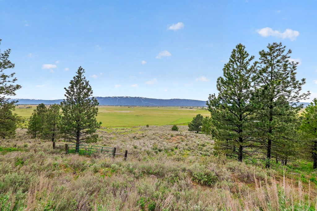 Tbd Finlandia Road, Unit 7 McCall, ID 83638 - Photo 12 of 21