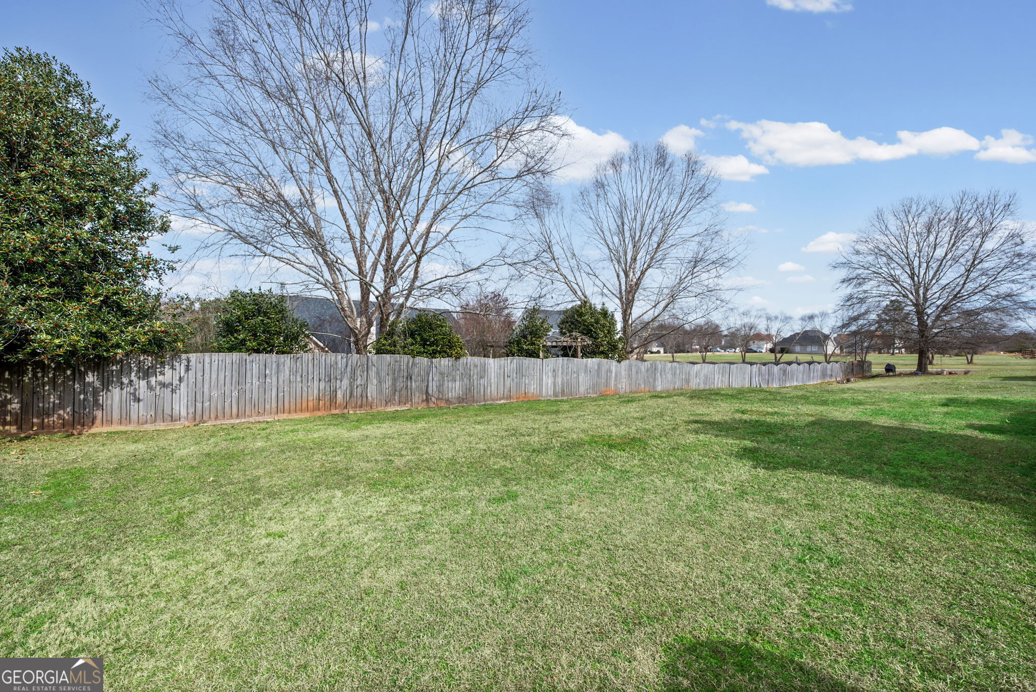 118 Rockbridge Loop Griffin, GA 30224 - Photo 32 of 34
