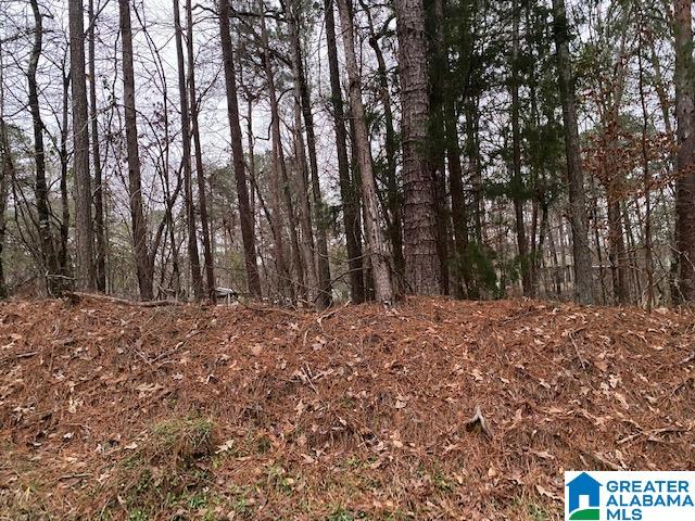 Faye Road, Unit 10 Vance, AL 35490 - Photo 1 of 2