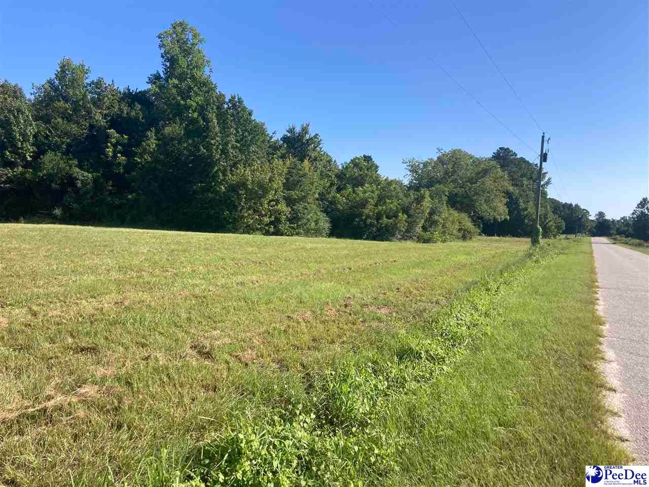 Weitus Rd Lake View Lake View, SC 29563 - Photo 2 of 5 Gallery Image 2