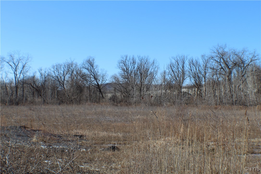 182 Lowes Boulevard Herkimer, NY 13350 - Photo 15 of 15