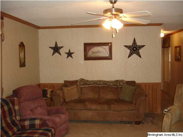 98 Ernest Road Wedowee, AL 36278 - Photo 10 of 17