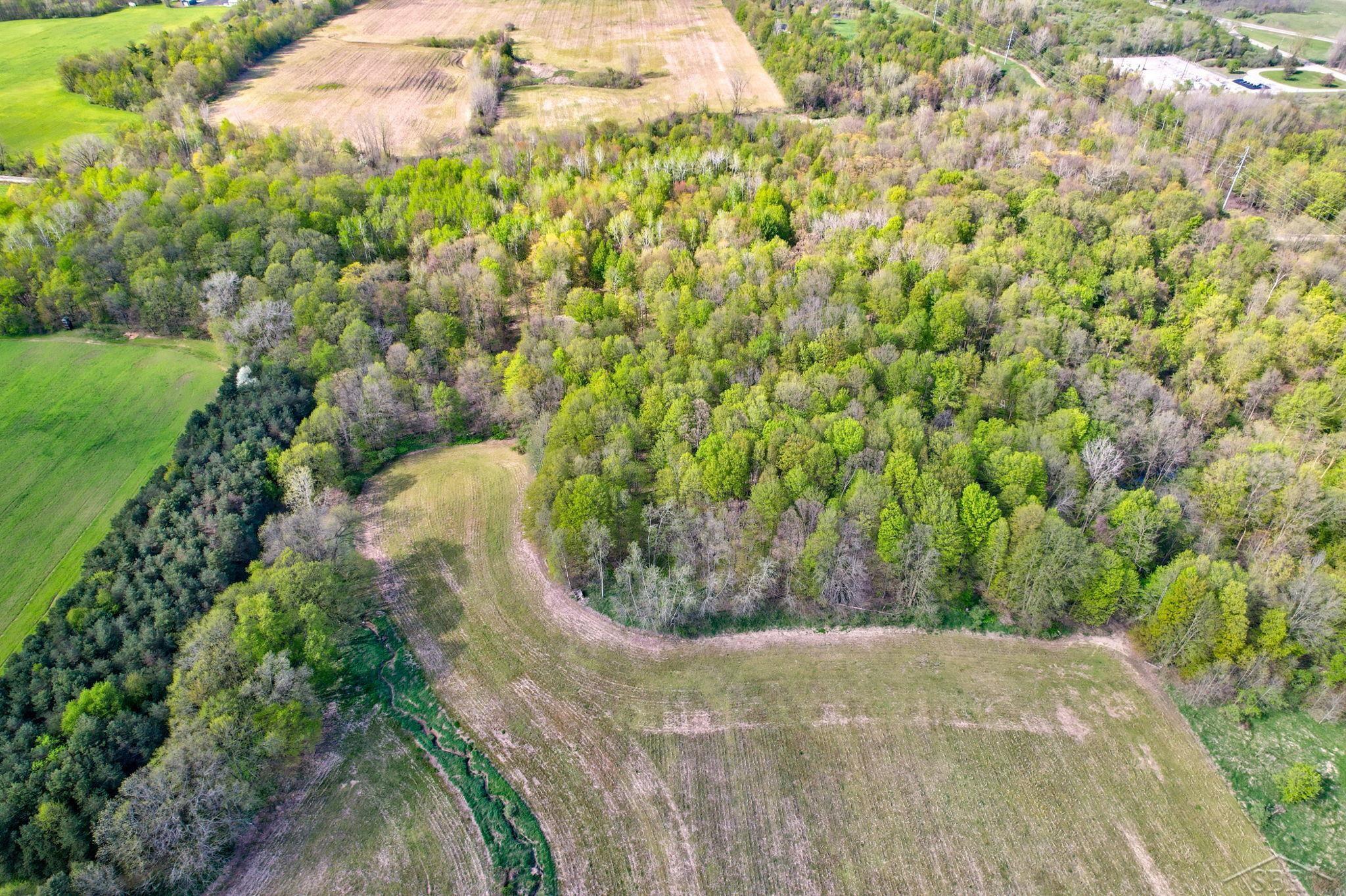 2 West Saginaw Road Fremont, MI 49412 - Photo 11 of 20